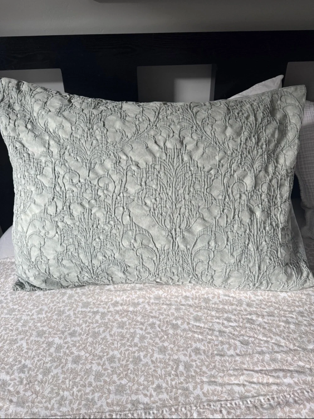 Artelier Nicole Miller 100% Cotton Textured Pillow Cases-Set of 2 STD Medallion
